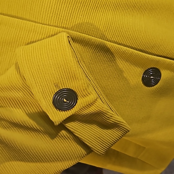 Planet Yellow Jacket - Picture 7 of 14